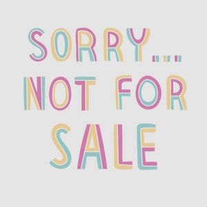 Abercrombie & Fitch  Blue Jean 80s Mom Shorts size 6